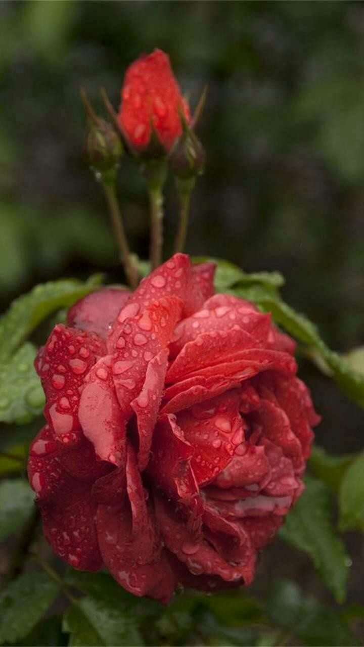 Darshana bhagawan Patil 