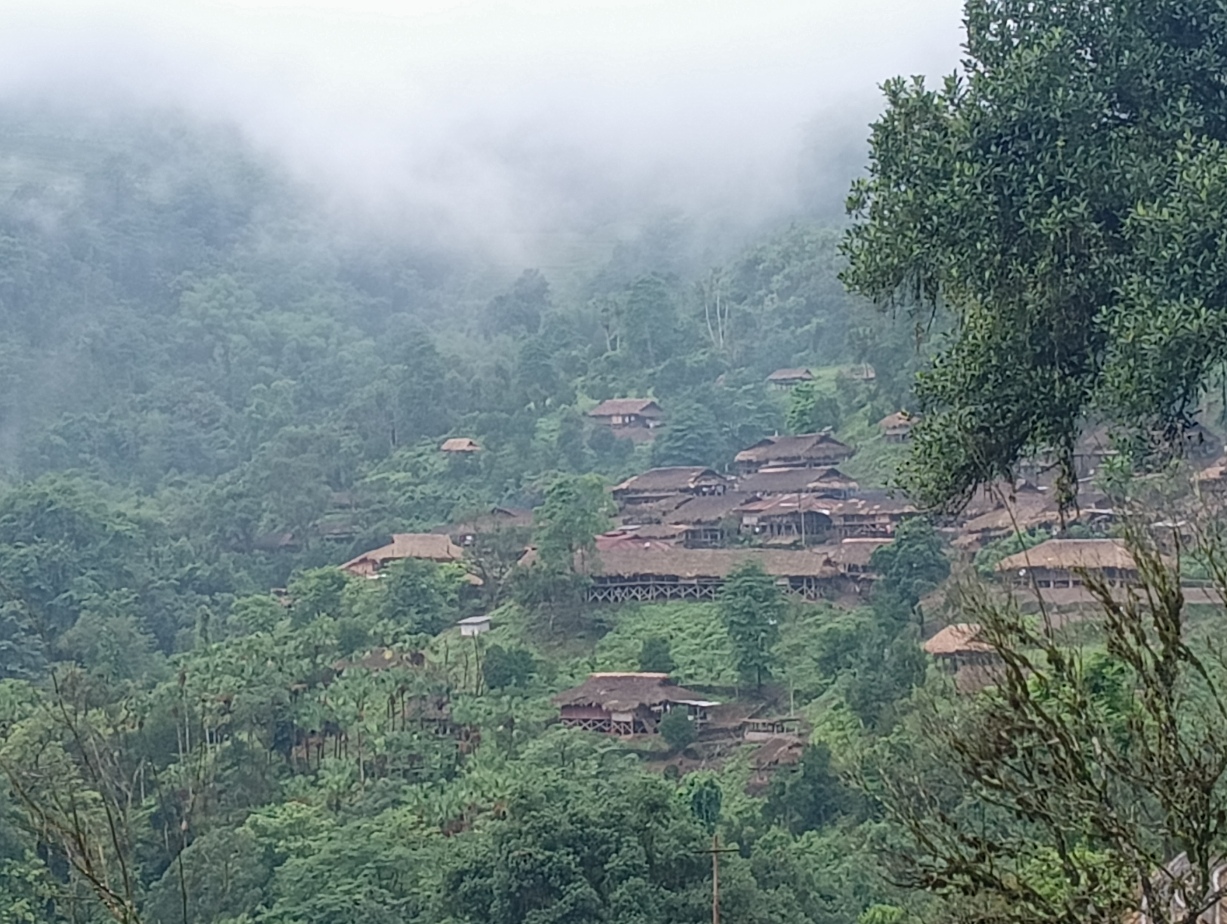 Tajing Darang 