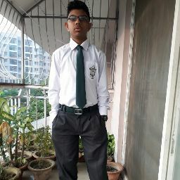 13VIID ARYAN SINHA