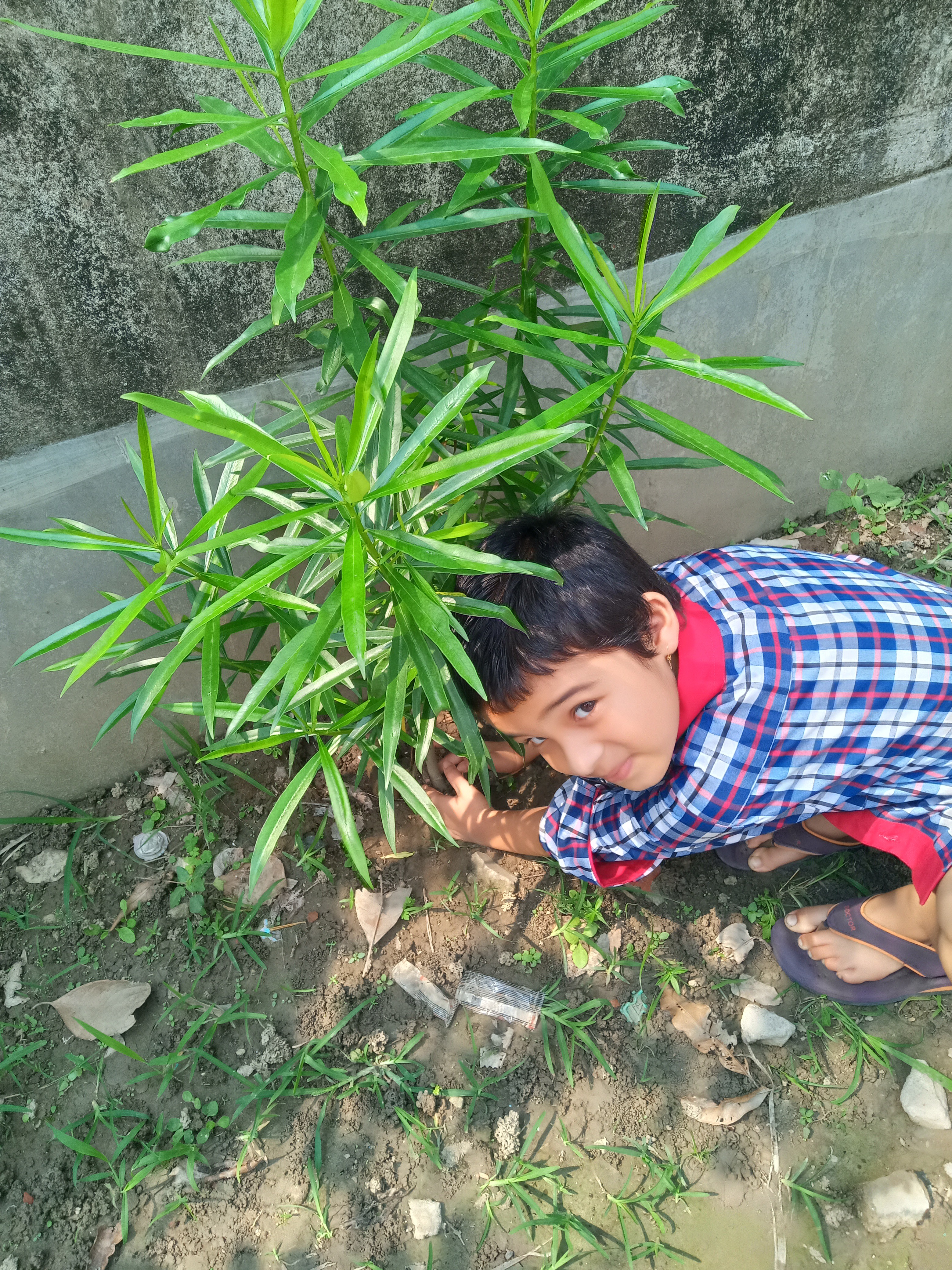 Shrestha Mahapatra
