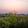 Sthitprajna Mishra