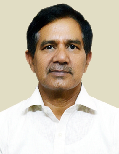 VINOD N SHARMA