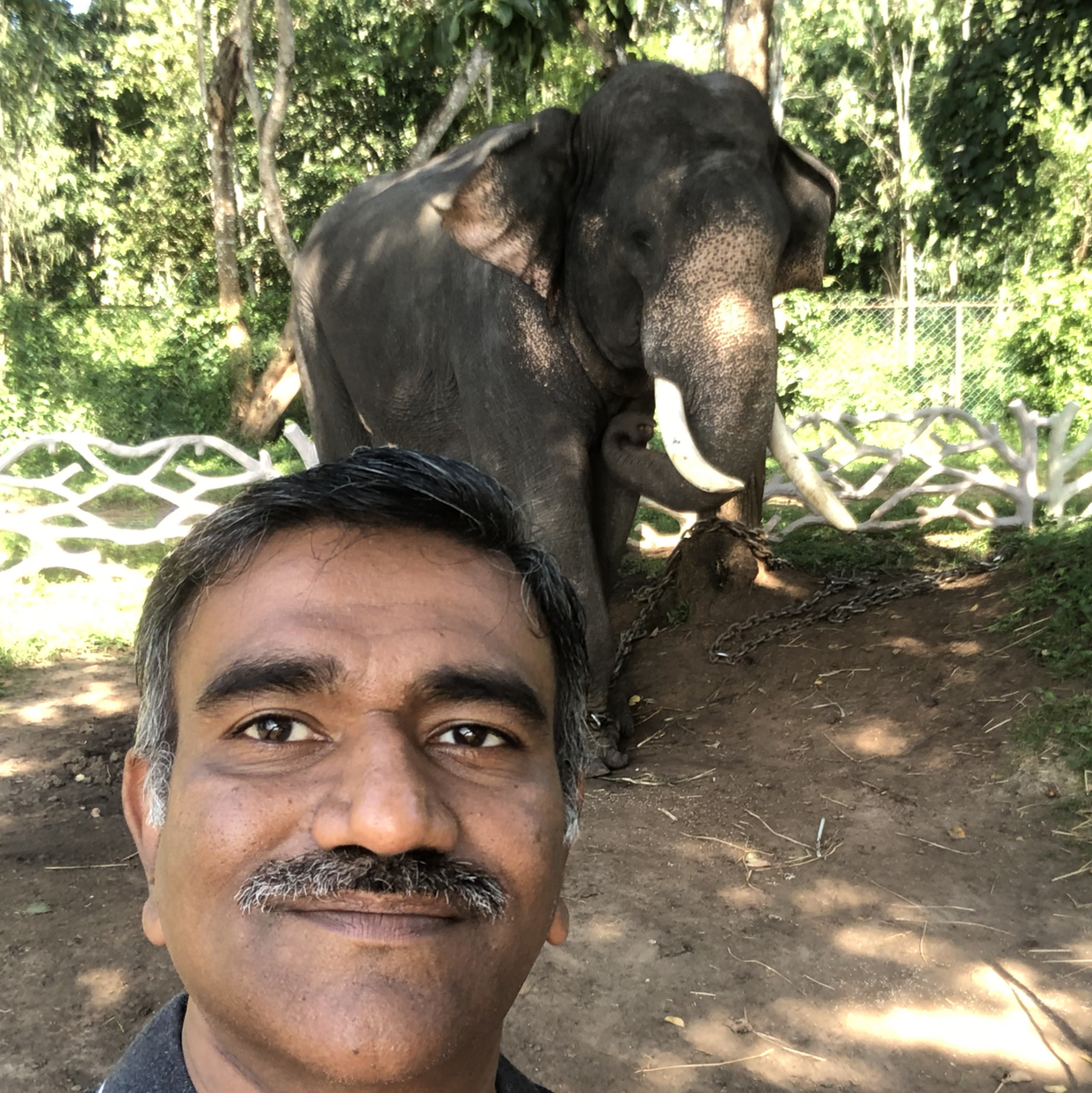 Mahesh Nayak