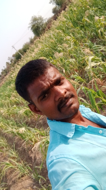 Vinod Gayannavar 