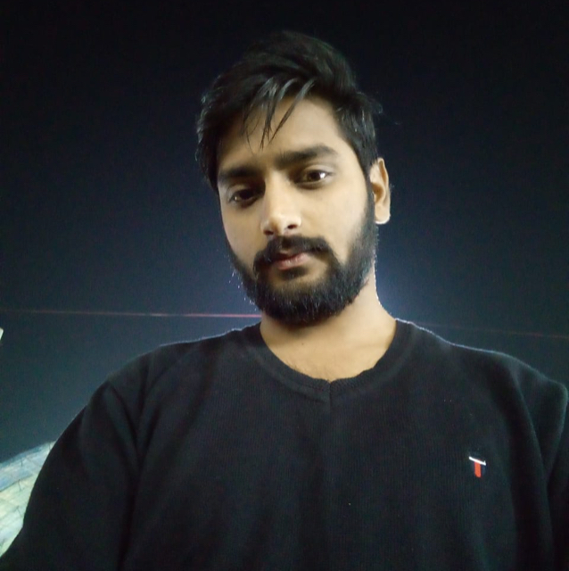 vipin arya