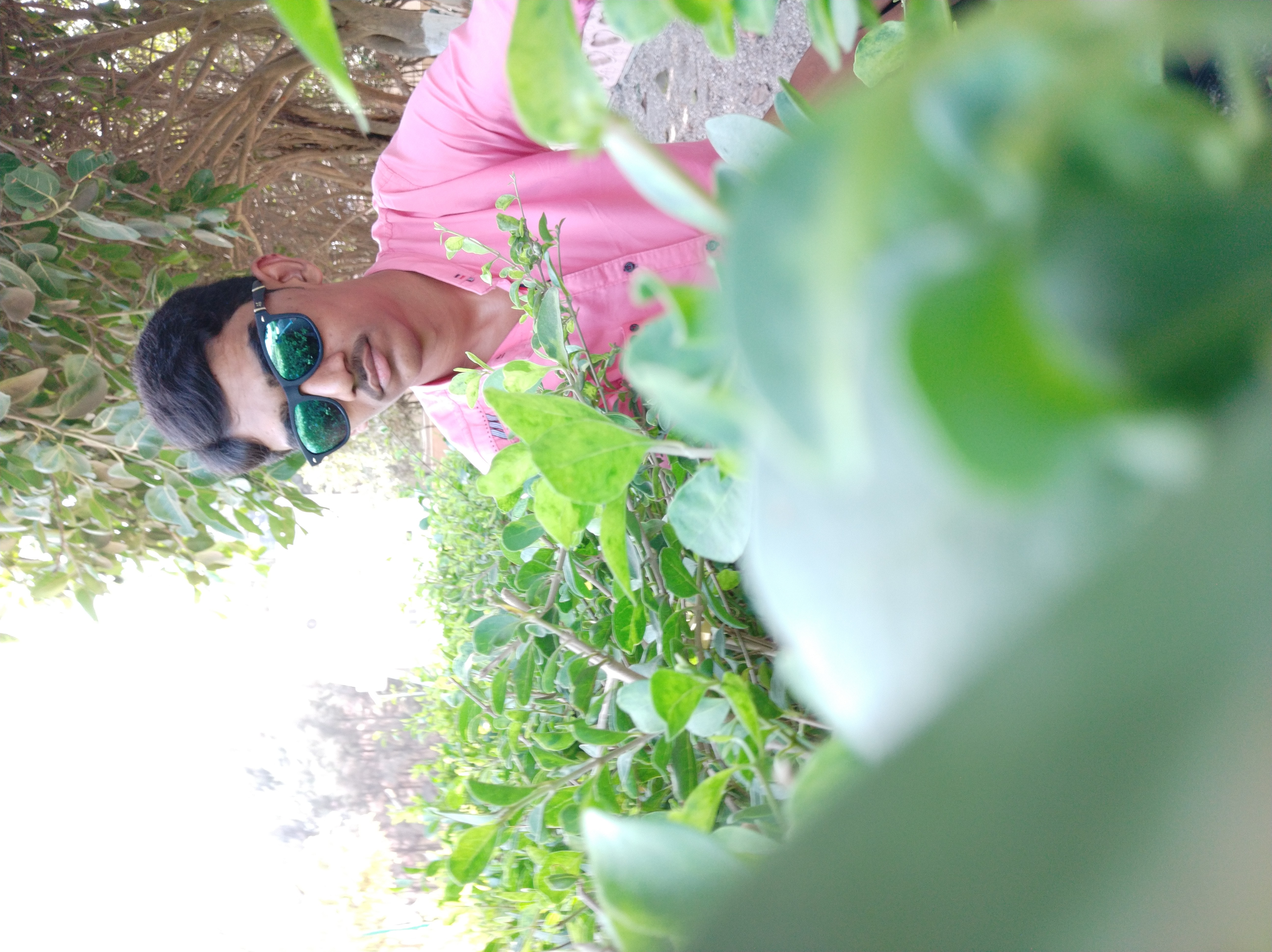 gopal suchar