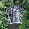 mahendrasarup