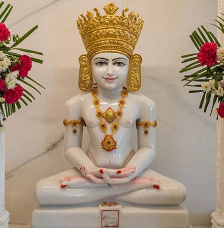VINODBHAI NARSINHBHAI DARJI