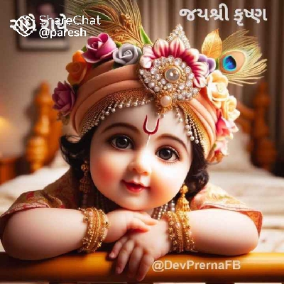 BariaDilipbhaiHimantbhai