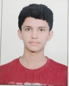 MANASKARLEKAR_1