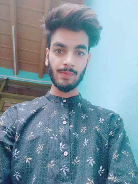 Majid Bashir