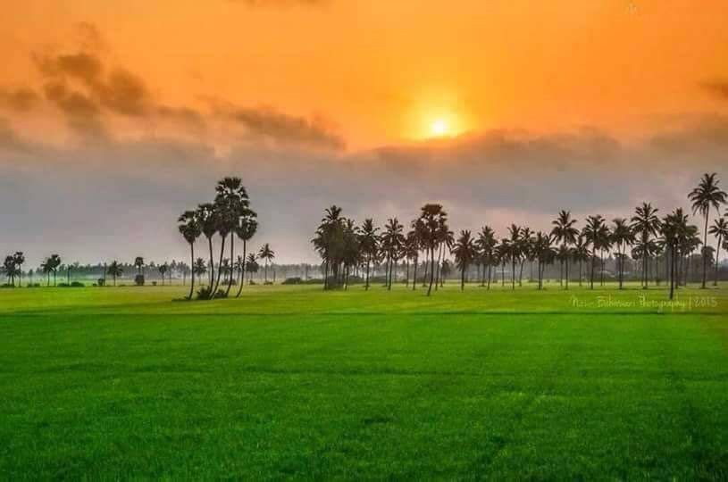 DEVDUTTA