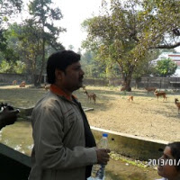PRAKASH KUMAR Jha