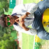 Divyesh Parsottambhai Gondaliya