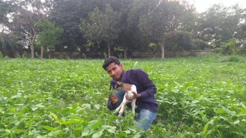 saikat rana