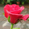 asokkumar_20