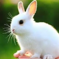 Arijit Das_35