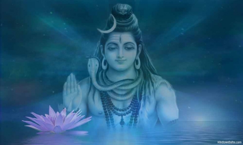 PRADEEP N_11