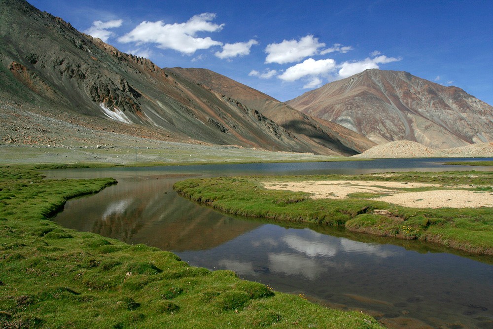 Ayushverma