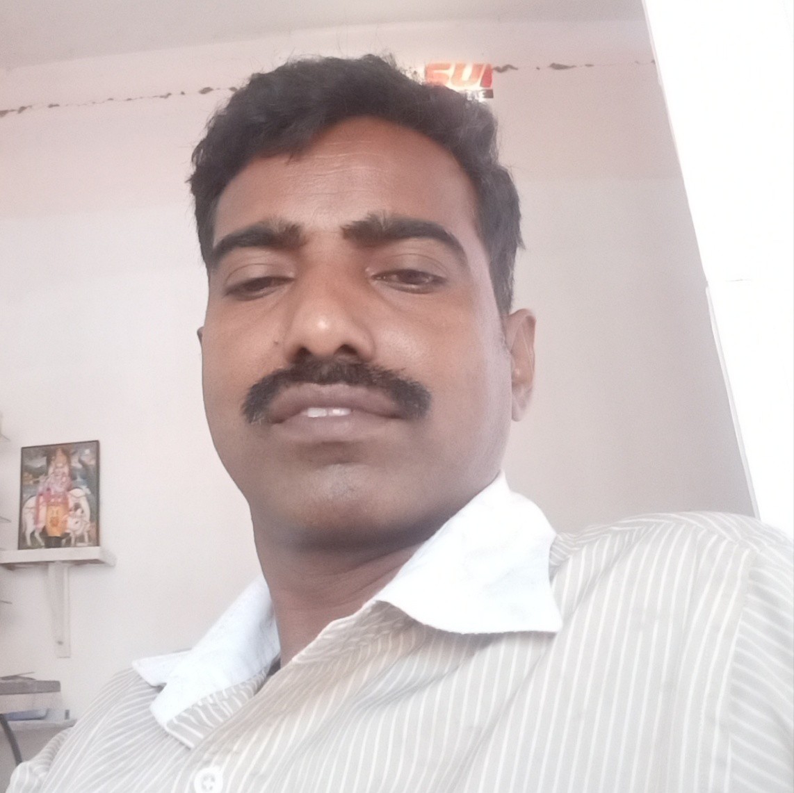 VINU P V