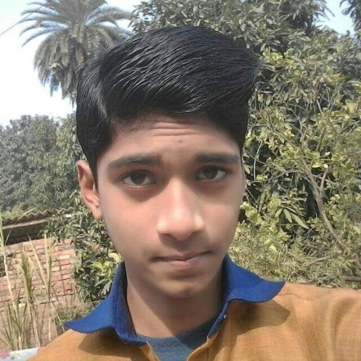 Mayank Raj