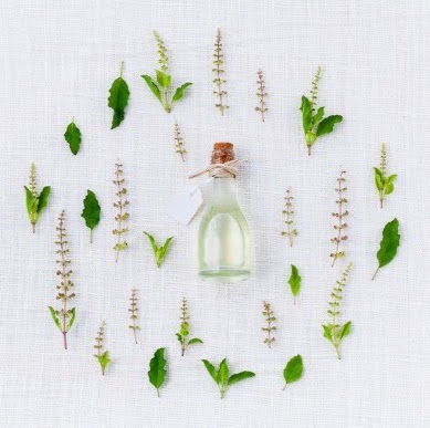 Dr Meena Thakkar Vinchhi