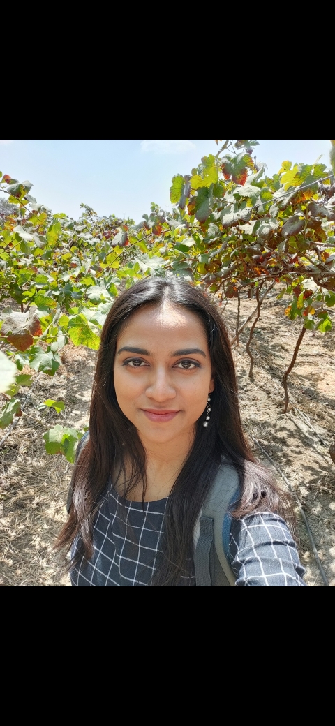 dipavalihazra