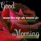 surendra singh