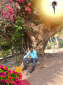 Bijoy Mardi