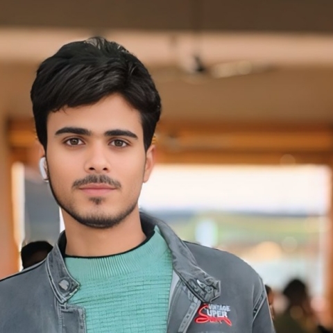rashid ali