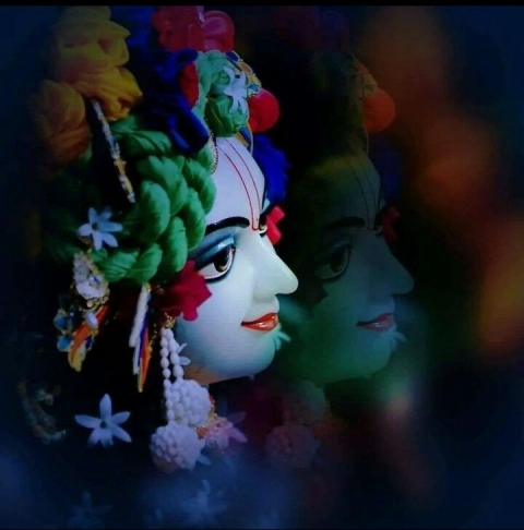 kanha study point