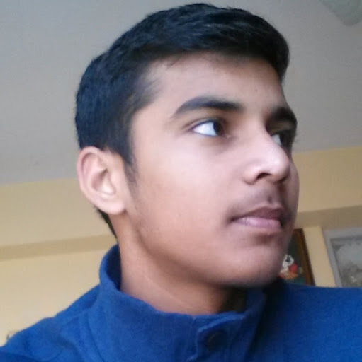 Vikas MEENA