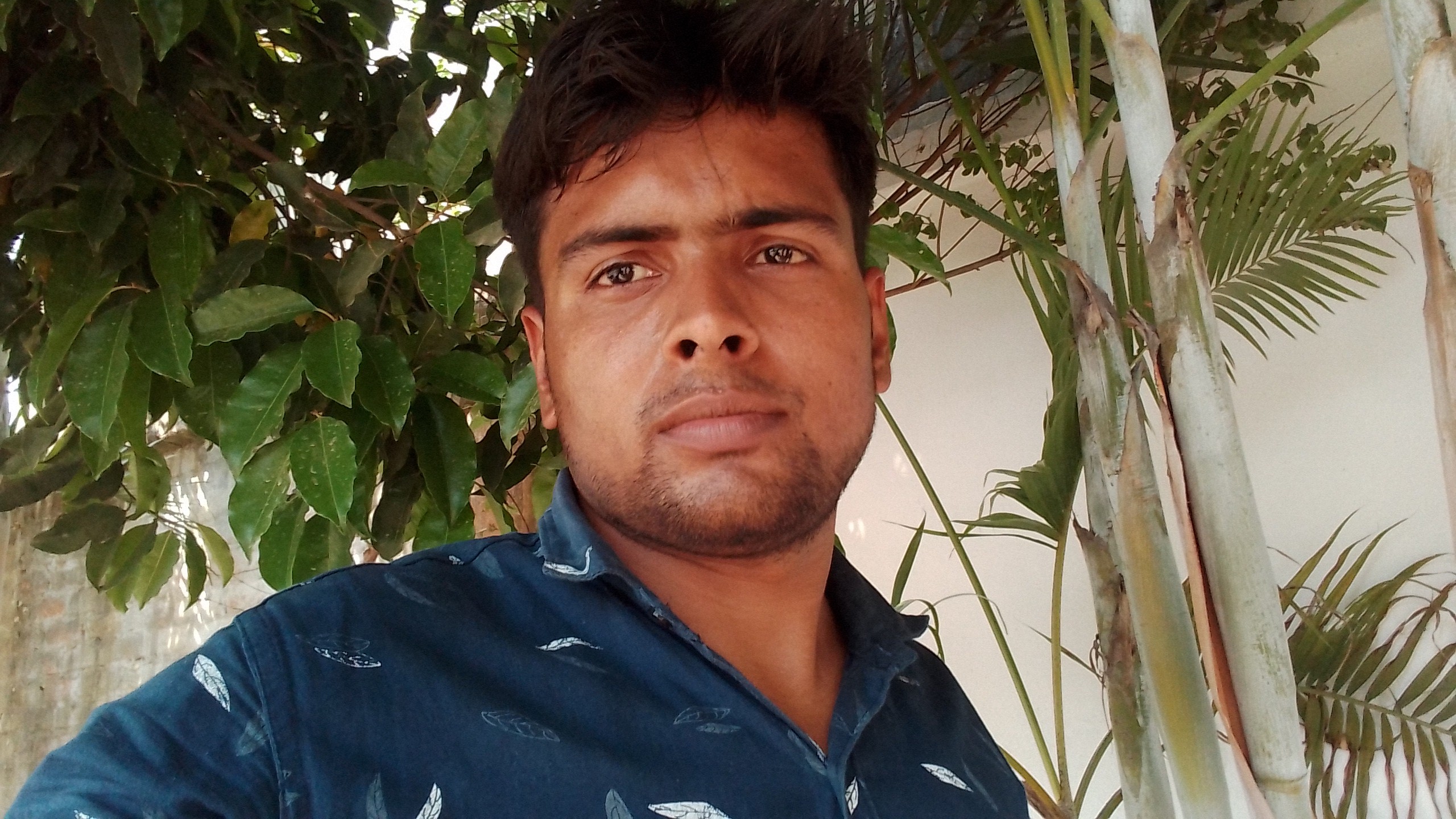 AwadheshKumarshukla