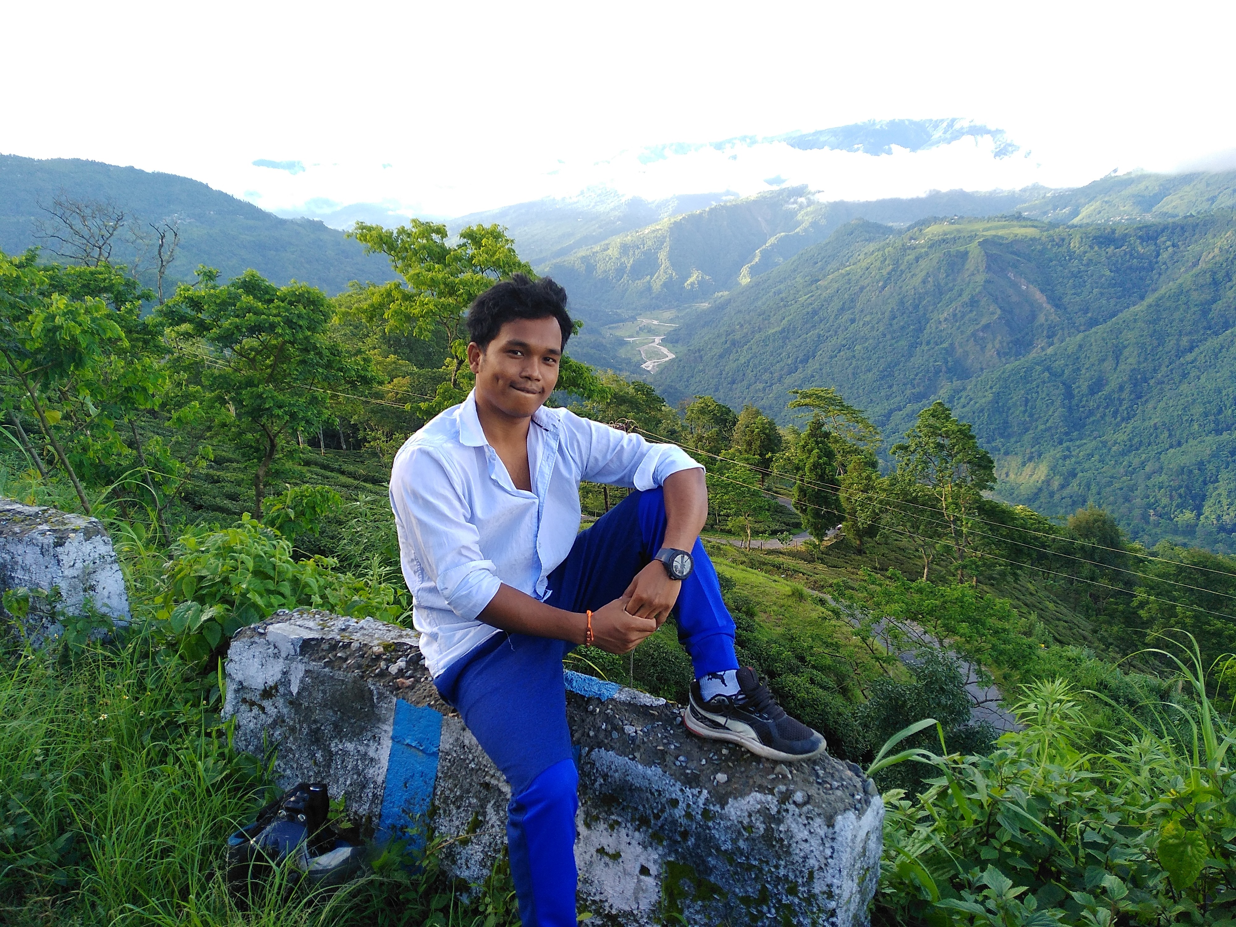 palash roy