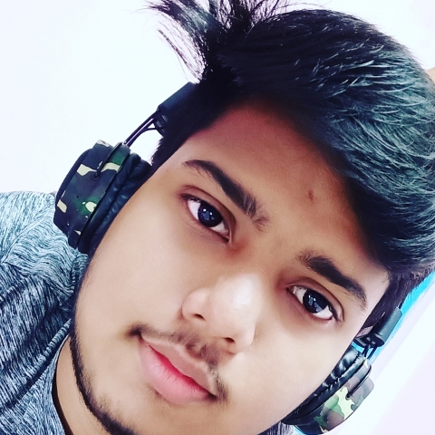 Partha Sarathi Pradhan