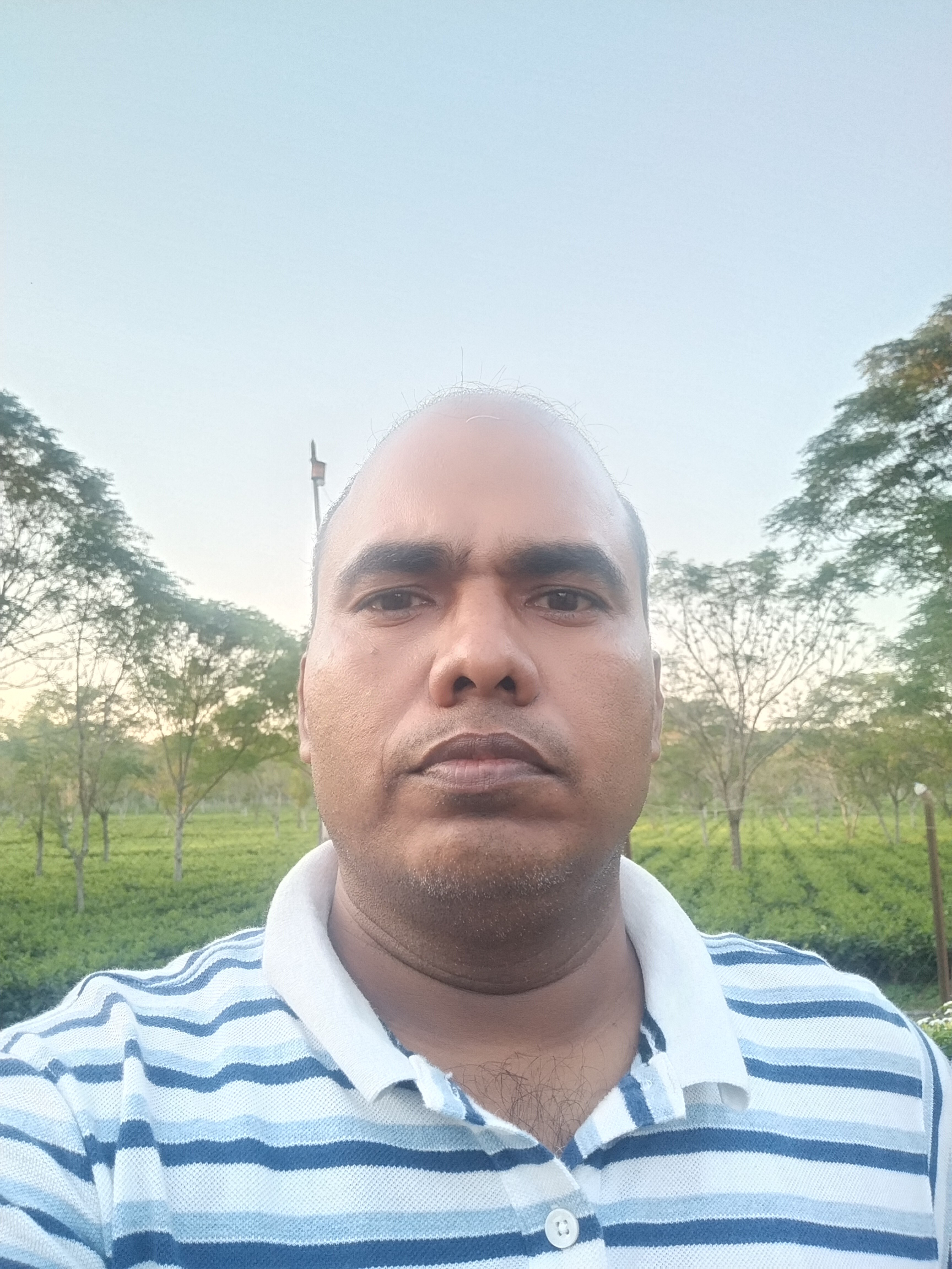 bijoy.hcl@gmail.com