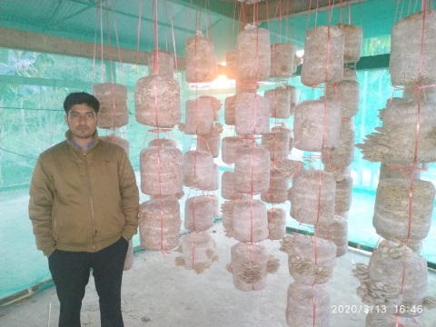 MONUJ GOGOI
