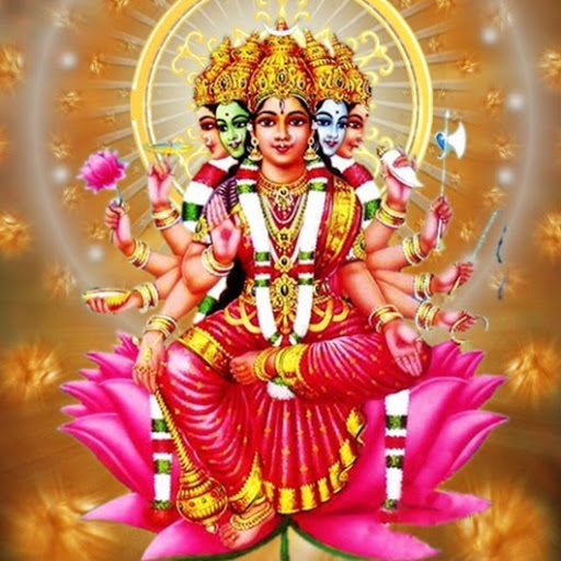 Vinod S