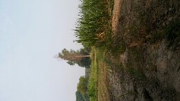 Ajeet Chaurasiya_5