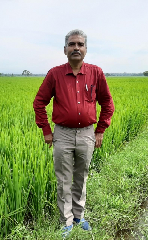 Jayantibhai I Parmar 