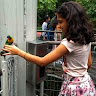 Nehal Agarwal 9