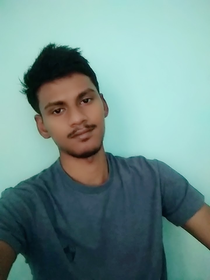 PANNEER SELVAM B