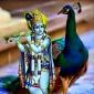 Dinesh Dube
