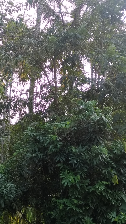 Krishnakumar_301