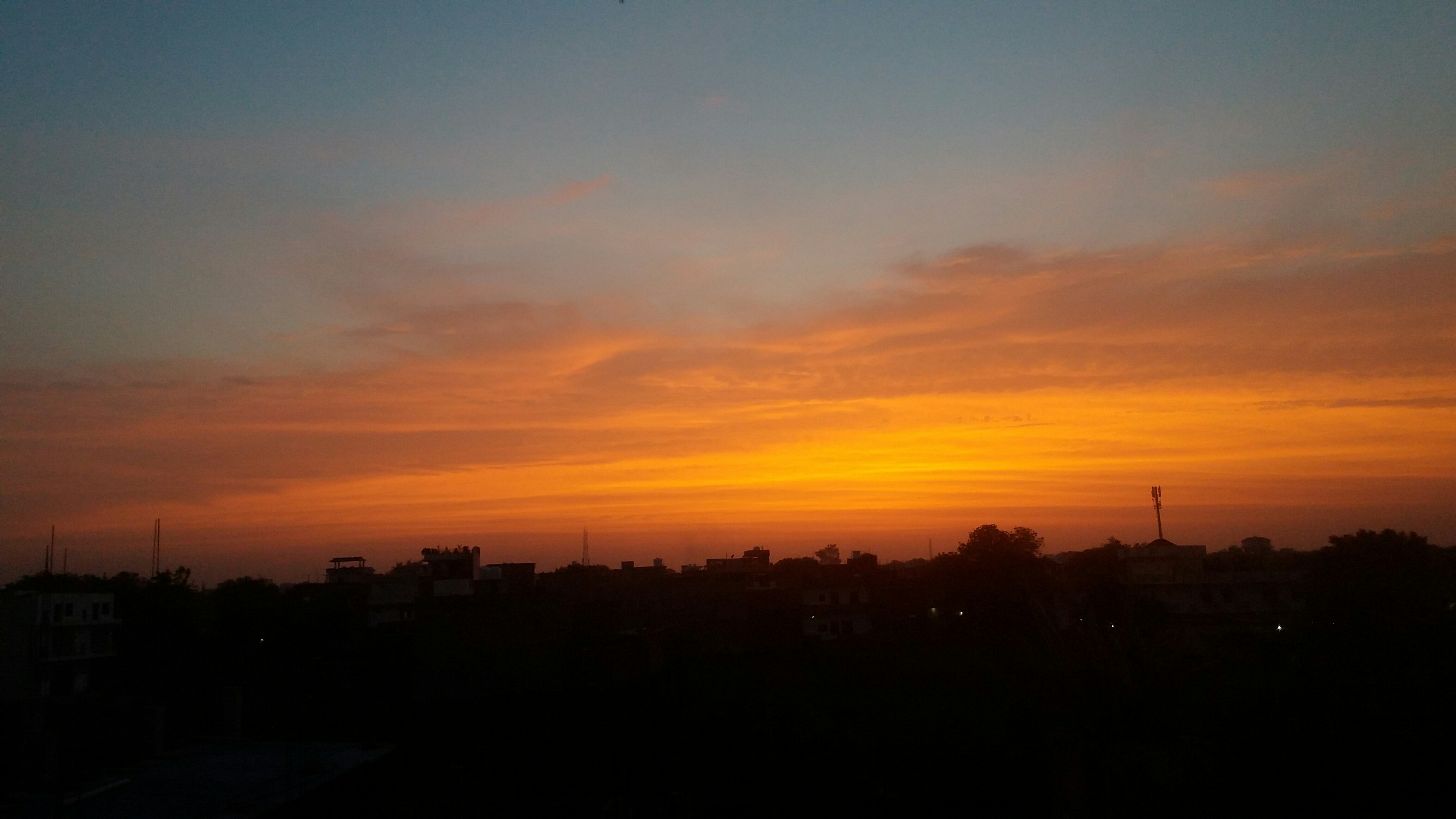 NanditaTripathi_2