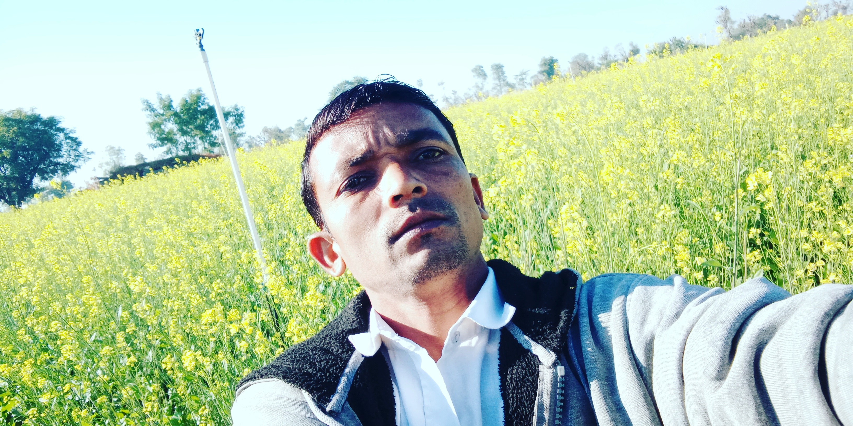 chauhan labaji