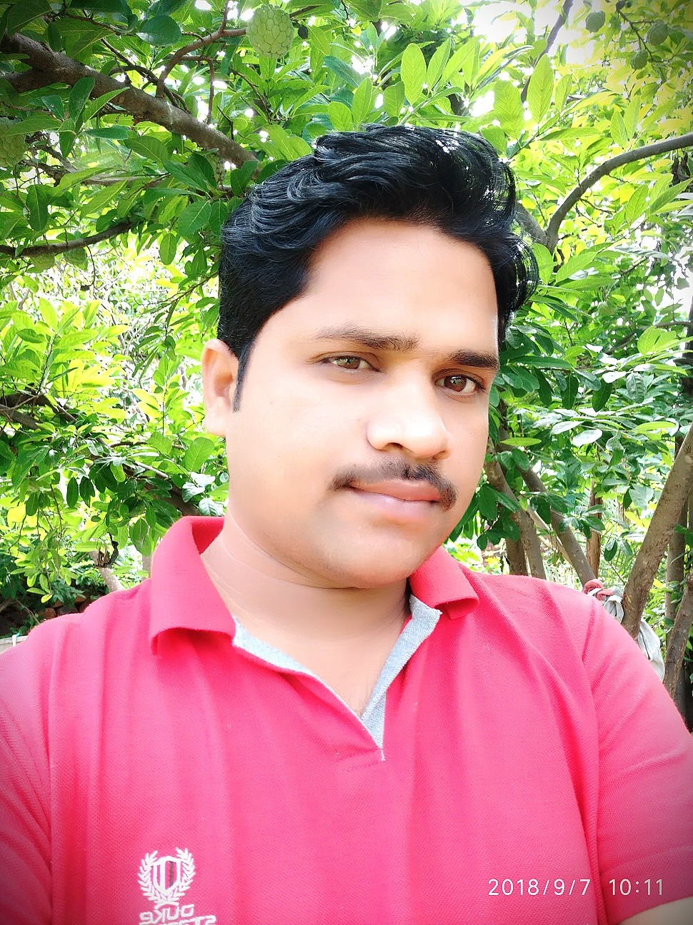 Vishnu chate