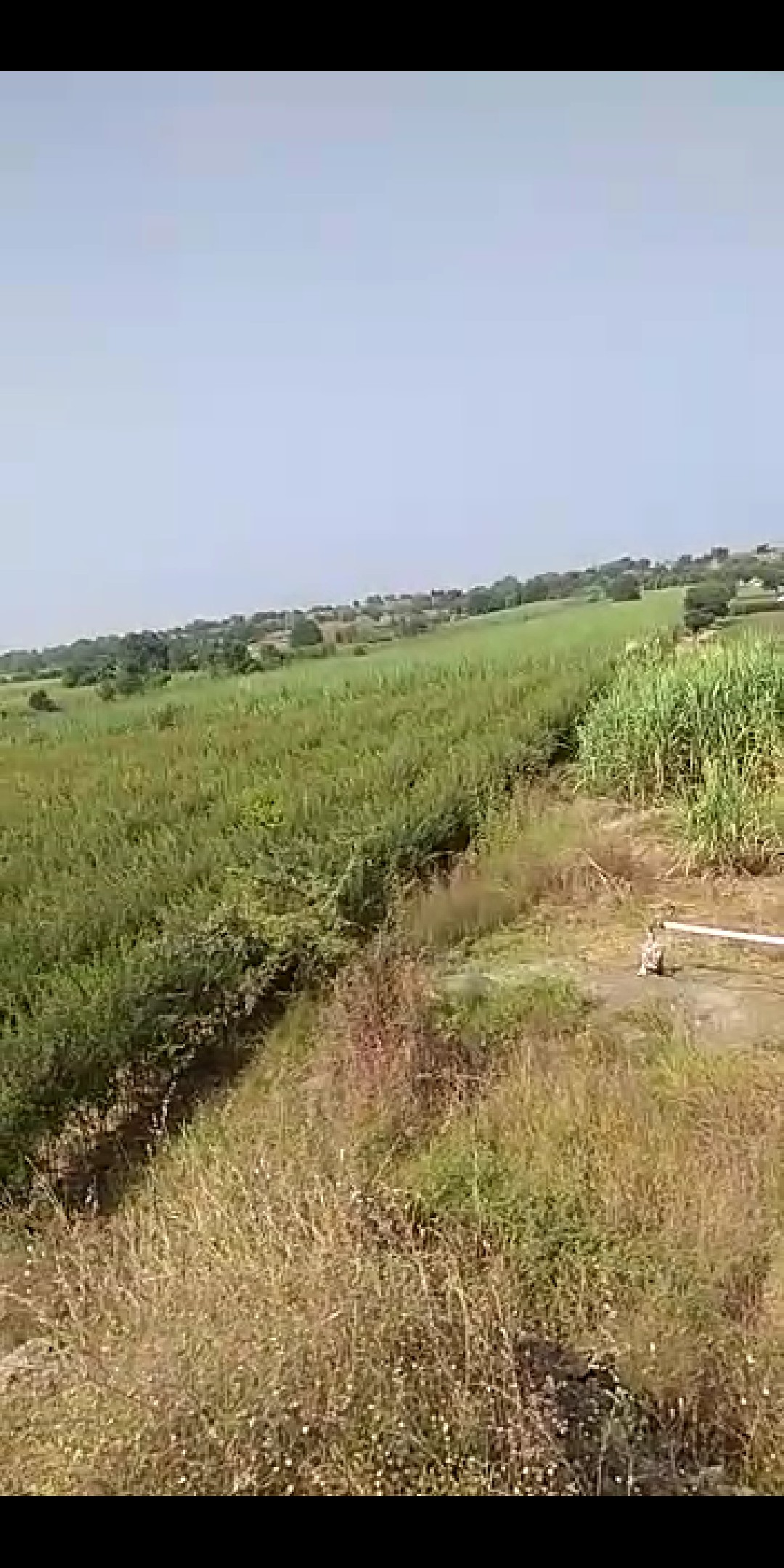 VAMAN BHAGWAT JAGTAP