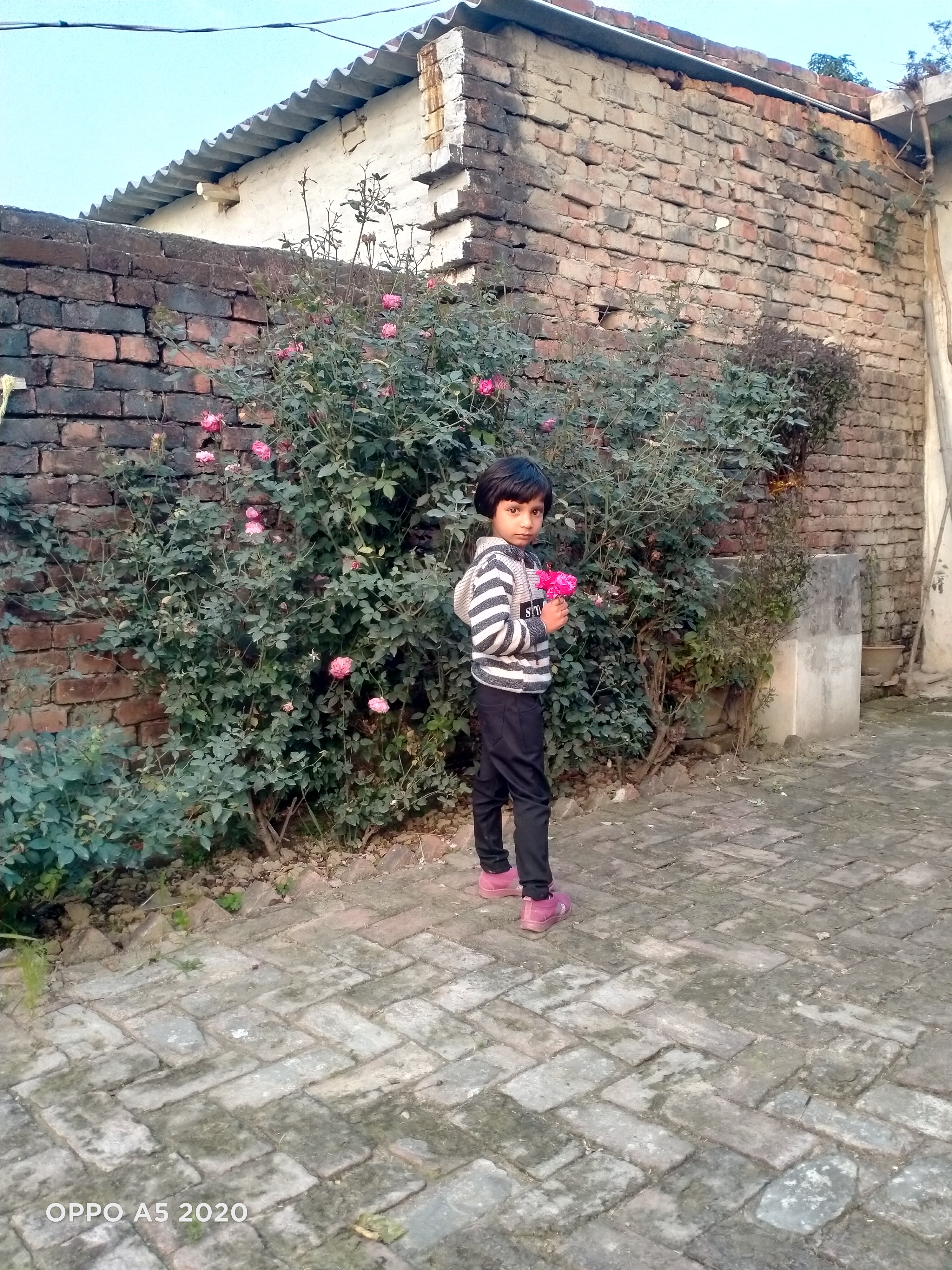 neerajsinghsinghel