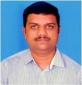 sanenvi@gmail.com